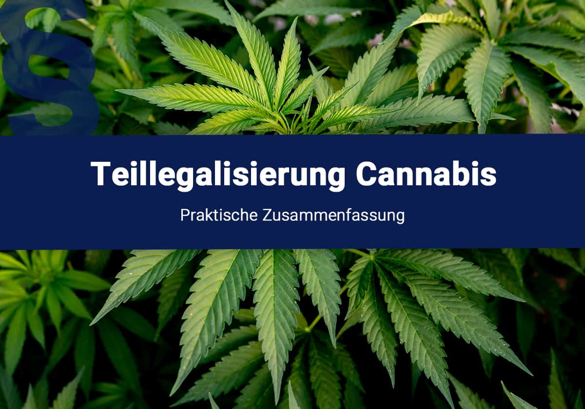 Cannabis: Die Teillegalisierung ab 1. April 2024 zusammengefasst